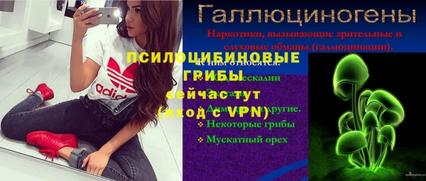 гидра Алзамай