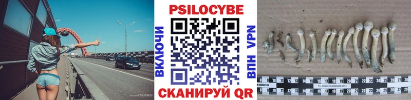 Псилоцибиновые грибы Magic Shrooms  хочу   Ачинск 