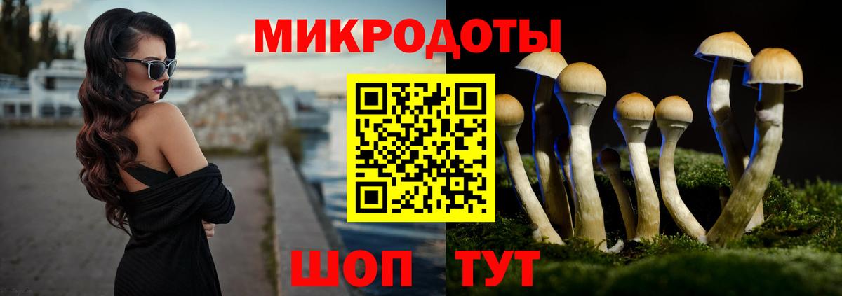 Псилоцибиновые грибы Cubensis Ачинск